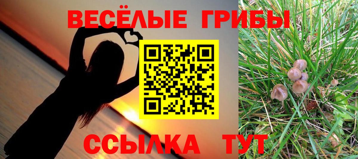 Псилоцибиновые грибы прущие грибы  Вход с VPN  Галлюциногенные грибы Cubensis  Донецк 